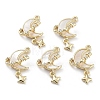 Brass Cubic Zirconia Pendants X-KK-M259-03G-1
