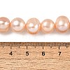 Natural Cultured Freshwater Pearl Beads Strands PEAR-I007-07U-01A-5