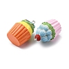 Opaque Resin Pendants X-RESI-K049-03-2