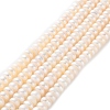 Natural Cultured Freshwater Pearl Beads Strands PEAR-I007-02D-02-2