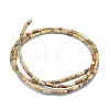 Natural Picture Jasper Beads Strands G-F631-B10-2