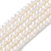 Natural Cultured Freshwater Pearl Beads Strands PEAR-I007-07F-01B-2