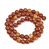 Handmade Lampwork Beads Strand LAMP-B056-8mm-18-3