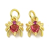 Rack Plating Brass Micro Pave Cubic Zirconia Spider Charms ZIRC-I065-02A-1