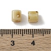 Opaque Colours Glass Seed Beads GL-CBAC3F6-02E-3