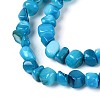 Natural Freshwater Shell Beads Strands SHEL-N037-04I-3