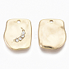 Alloy Charms PALLOY-S135-019-NR-2