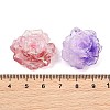 Gradient Color Luminous Transparent Resin Beads RE-CBAC4C7-17-5