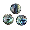 Natural Paua Shell Cabochons SSHEL-I026-20C-1