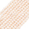 Natural Cultured Freshwater Pearl Beads Strands PEAR-D003-01C-02-2