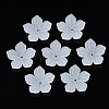 Transparent Acrylic Beads FACR-N005-004-1