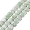 Natural Myanmar Jade Beads Strands G-C238-16B-1