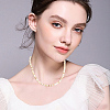 4 Strands 4 Colors Natural Shell Beads Strands SSHEL-PA0001-04-6