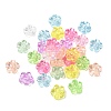 Transparent Acrylic Beads TACR-C002-01F-1
