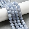 Dyed Natural Malaysia Jade Beads Strands G-G021-02B-22-5