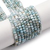 Natural Larimar Beads Strands G-F803-B01-01-2
