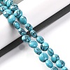 Synthetic Turquoise Beads Strands G-T047-A20-01-2