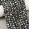 Natural Labradorite Beads Strands G-P336-19-8mm-01-1