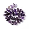 Natural Amethyst Beads Strands G-C008-B03-3