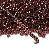 TOHO 6/0 Round Beads X-SEED-TR06-0746-2