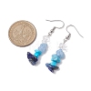 Natural Mixed Stone & Synthetic Turquoise Dangle Earrings EJEW-JE06030-3