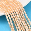 Natural Cultured Freshwater Pearl Beads Strands PEAR-F020-26B-1