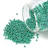 MIYUKI Round Rocailles Beads SEED-G007-RR5105-1