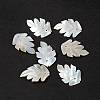 Natural Sea Shell Pendants SSHEL-K001-002-1