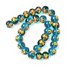 Ocean Theme Handmade Glass Enamel Beads LAMP-D304-02E-2