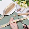Polyester Ribbons SRIB-WH0011-347-3