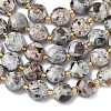 Natural Syenite Beads Strands G-K389-B86-01-4