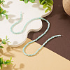 1 Strand Natural Freshwater Shell Dyed Beads Strands SHEL-TA0001-44A-4