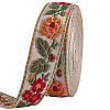 Vintage Jacquard Polyester Ribbon OCOR-WH0082-533B-1
