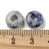 Natural Blue Spot Jasper Beads G-Q173-03A-14-3