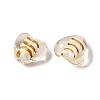 Transparent Handmade Silver Foil Glass Lampwork Beads LA-CBA9CDE-02-2