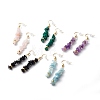 Natural Mixed Chip Gemstone Dangle Earring EJEW-JE04561-1