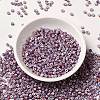 6/0 Opaque Colours Seep Glass Seed Beads X-SEED-F003-04A-11-2