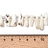 Natural Trochid Shell/Trochus Shell Beads Strands BSHE-A002-03A-4