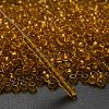 TOHO 6/0 Round Beads X-SEED-TR06-2155-2