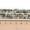 Natural HuBei Turquoise Beads Strands G-L628-B02-3mm-02-5
