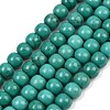 Natural Magnesite Beads Strands G-Z143-H01-08A-2