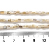 Natural Freshwater Shell Beads Strands X-SSHEL-B002-17-4