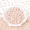 Opaque Colours Glass Seed Beads SEED-N007-39A-08-2