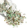 Natural Chalcedony Chip Beads G-G318-01-1
