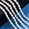 Natural Cultured Freshwater Pearl Beads Strands X1-PEAR-N012-03H-6