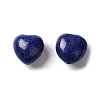 Natural Lapis Lazuli Beads G-L583-A08-2