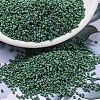 MIYUKI Delica Beads LS-X-SEED-J020-DB2311-1
