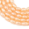 Natural Cultured Freshwater Pearl Beads Strands PEAR-F020-26B-4