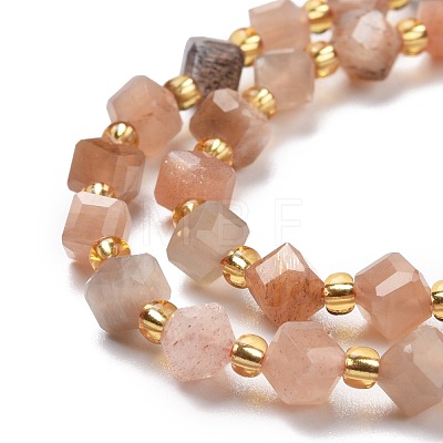 Natural Multi-Moonstone Beads Strands G-P463-06-1