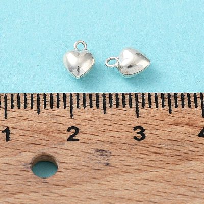 925 Sterling Silver Charms X-STER-H106-01C-S-1